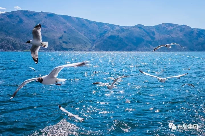 水域滩涂规划领域排头兵