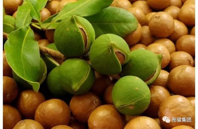 澜沧四个可行性研究报告评审会